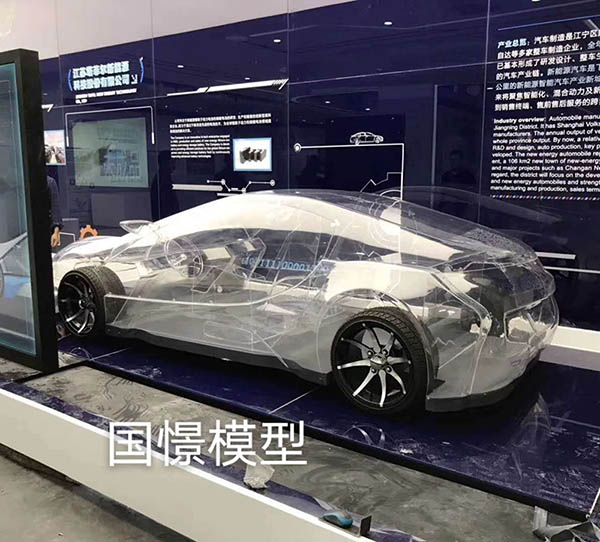 华蓥市透明车模型